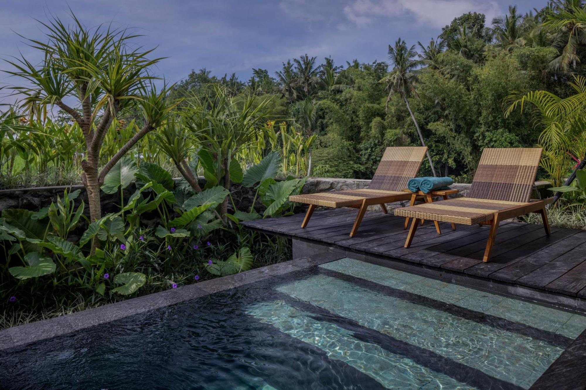 Gdas Bali Health And Wellness Resort - Adult Only أوبود المظهر الخارجي الصورة