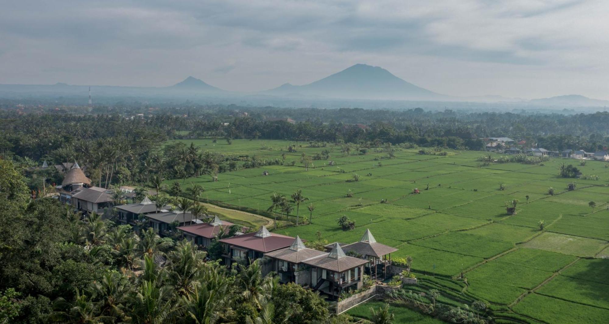 Gdas Bali Health And Wellness Resort - Adult Only أوبود المظهر الخارجي الصورة