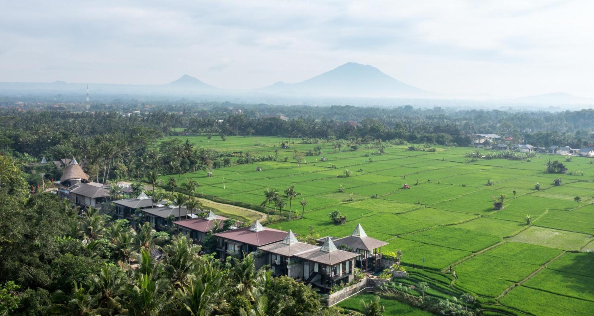 Gdas Bali Health And Wellness Resort - Adult Only أوبود المظهر الخارجي الصورة